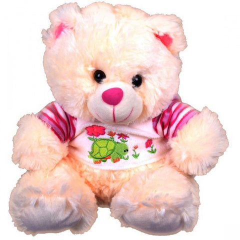 Turtle Bear 30cm